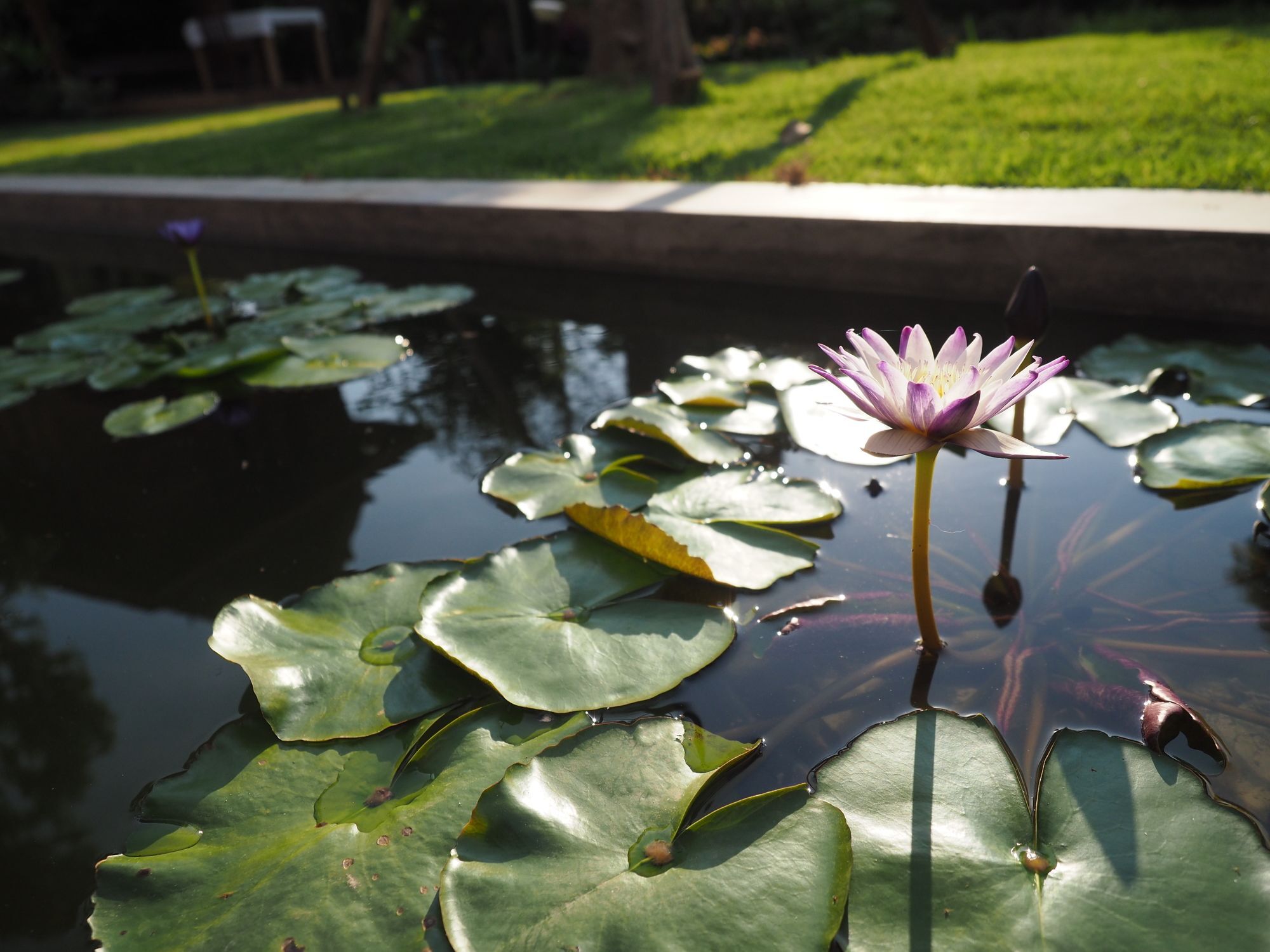 Amata Lanna Village อมตะล้านนาวิลเลจ Chiang Mai Bagian luar foto
